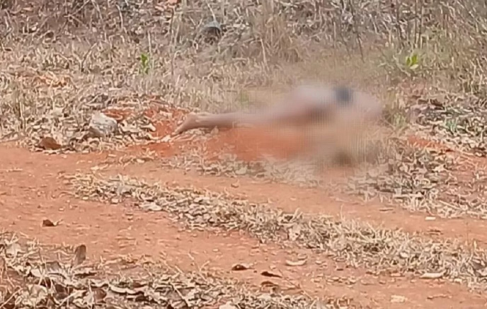 Polícia Civil age rápido e prende suspeito de assassinar garota de programa no Cidade de Deus em Sete Lagoas