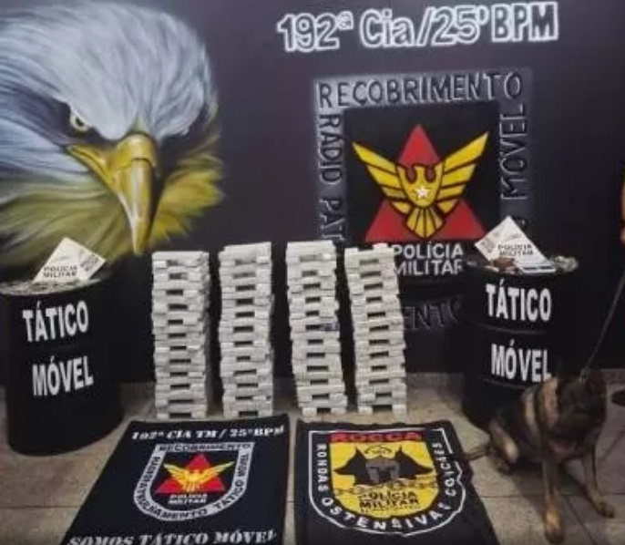 Polícia encontra 190 barras de maconha escondidas em sítio em Sete Lagoas