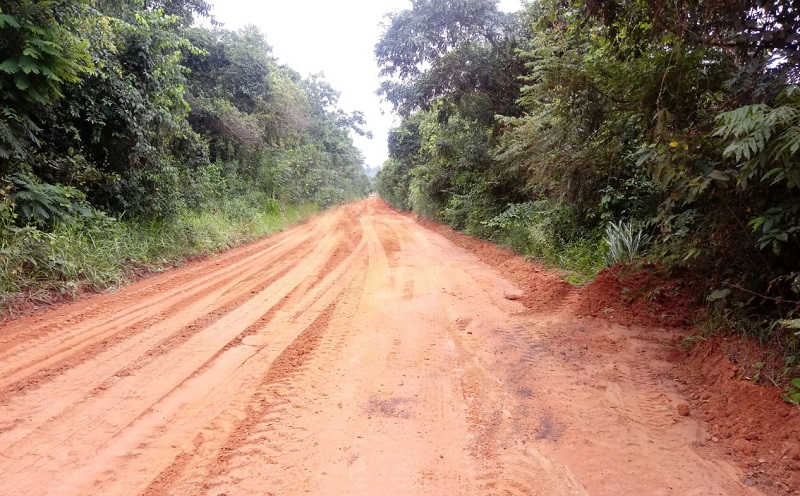 Platão Regional